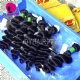 13x4/13x6 Lace Frontal With 3 or 4 Bundles 13A Standard Grade Virgin Brazilian Loose Wave Human Hair Extensions