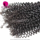 3 or 4pcs/lot 14A Royal Grade Cambodian Deep Curly Virgin Human Hair Extension