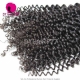 3 or 4pcs/lot Royal Cambodian Virgin Hair Deep Curly Human Hair Extension