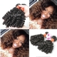 Unprocessed Royal 3 or 4 Bundles Burmese Bundles Deal Virgin Spiral Curly Wave Hair Extension