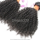 3 or 4 Bundles Royal Virgin Burmese Hair Kinky Curly Wave Human Hair Extension