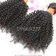 14A Royal Grade Virgin Hair 1 Bundle Burmese Kinky Curly Wave Hair Extension
