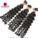 3 or 4pcs a lot Royal Burmese Virgin Hair Deep Wave Human Hair Extension