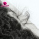 Transparent/Brown 13x4 Lace Frontal Virgin Human Hair Loose Wave Natural Color