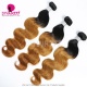  1 Bundles Two Tone Ombre Color T1B/30# 14A Royal Grade 100% Virgin Hair Extension