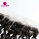 Transparent/Brown 13x4 Lace Frontal Human Virgin Hair Water Wave Natural Color