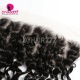 Transparent 13x6 Lace Frontal Water Wave Human Virgin Hair Natural Color