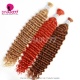 1 pack Bulk Braiding Hair Color 4/99j/30/P4/27/350/613/27/Red Hair 100% Virgin Human Hair Without Weft