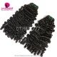 1 Bundle Double Drawn 3C4A Burmese Spiral Curl Hair Weft Bundle 14A Royal Grade Virgin Hair Human Hair Extension