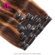 P4/27 Classic Clip Ins Hair Extension (8pcs 120gram/Set)100% Virgin Human Hair Extensions