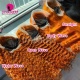 Ginger color 350# 13x4 Lace Frontal Wigs 180% Density Top Quality Virgin Human Hair